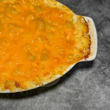 Creamy four cheese mac and cheese in white baking dish with golden bubbly cheese on top