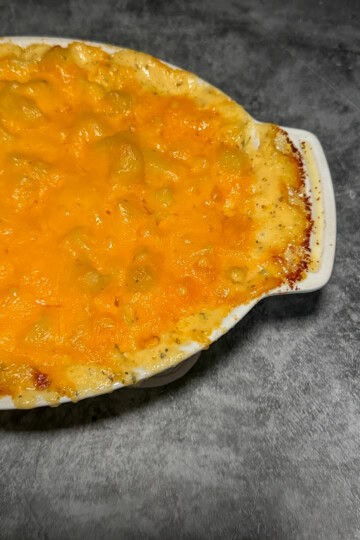 Creamy four cheese mac and cheese in white baking dish with golden bubbly cheese on top