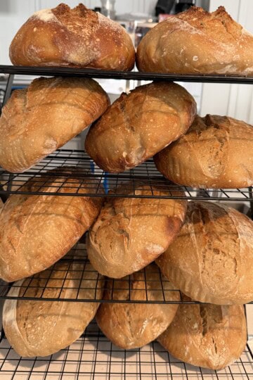Fresh baked organic sourdough bread loaves cooling on wire racks, showing golden brown crusts with flour dusting and artisan scoring patterns